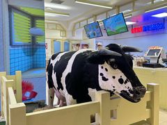 -红星前进面包牛奶公司(君太店)