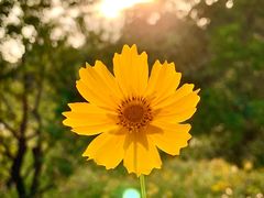 -昆山城市生态森林公园