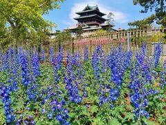 -北京世界公园