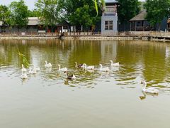 -河北村民俗体验园