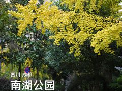 -成都南湖公园