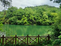 -白马涧龙池景区