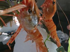 -福禧荟·海鲜自助
