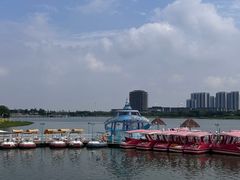 -九龙湖公园