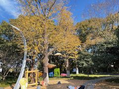 -昆山城市生态森林公园