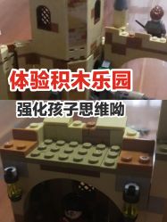 -kidsland凯知乐(高新万达广场店)