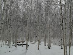 -北极村旅游风景区