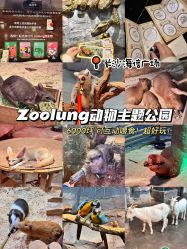 -Zoolung Zoolung动物主题公园(海信广场店)