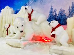 -宁波冰雪大世界(北仑区)