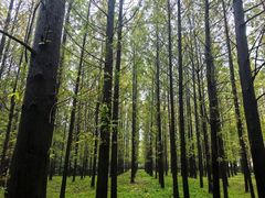 -河南省黄河迎宾馆