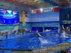 -多彩贵州城极地海洋世界