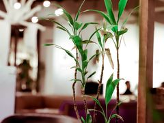 -fishtank鱼缸咖啡(三山街店)