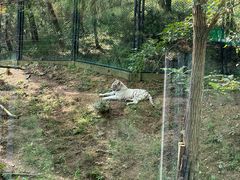 -大连森林动物园