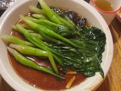 -新白鹿餐厅(百联中环店)