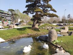 -罗红摄影艺术馆