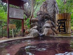 -金穗园温泉酒店