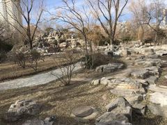 -莲花池公园