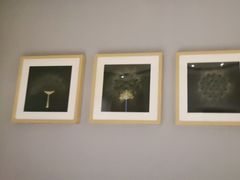 -徐记海鲜(曲江南湖店)