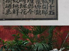 -白帝城·瞿塘峡景区