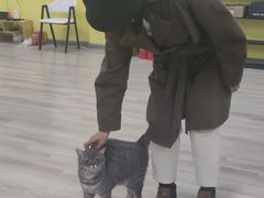 -半天妖烤鱼(方庄店)