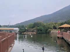 -无锡动物园·太湖欢乐园