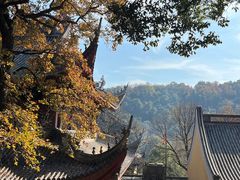 -灵隐飞来峰景区