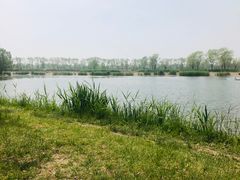 -大兴滨河森林公园