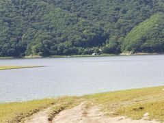 -庆岭迎宾园正宗活鱼馆