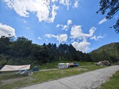-武陵山森林公园