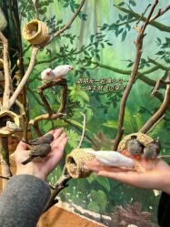 -Zoolung Zoolung动物主题公园(海信广场店)