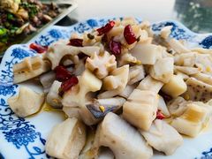 -铁山坪森林公园