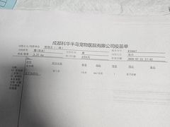 -半岛宠物医院24小时(科华中路店)