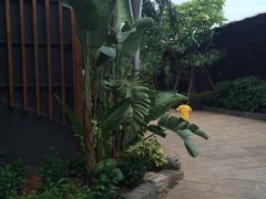 -厦门日月谷温泉渡假村