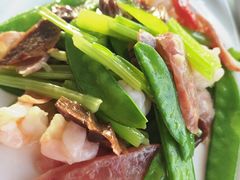 -云中小雅