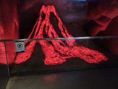 -安徽省地质博物馆