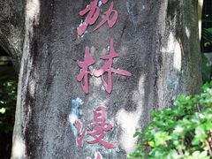-立新湖公园