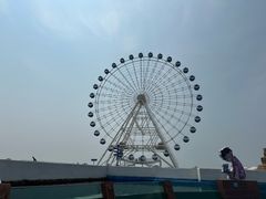 -秦皇岛乐岛海洋王国