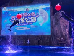 -华夏文旅海洋公园