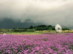 -才村湿地公园