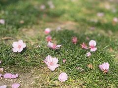 -上海辰山植物园