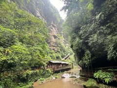 -碧峰峡风景区