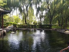 -百脉泉景区