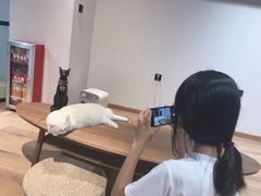 -瞄一喵猫咖(格力海岸店)