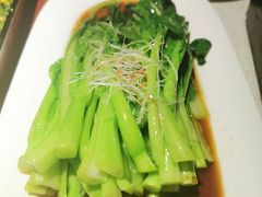 -拈菜(观音桥阳光世纪店)