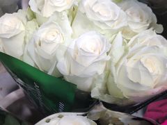 -双季花艺园艺市场(浦东店)