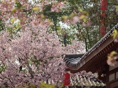 -东湖磨山景区
