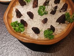 -季季山·云南野生菌火锅(上海首店)