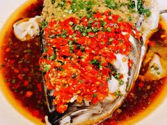双色蒸千岛湖鱼头-富淳饭店(陆家嘴保利广场店)