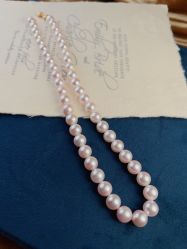 -Cindy Jewelry·钻戒·彩色宝石