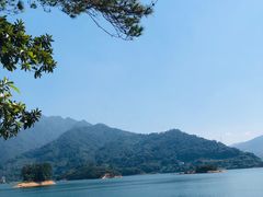 -广州市流溪河国家森林公园